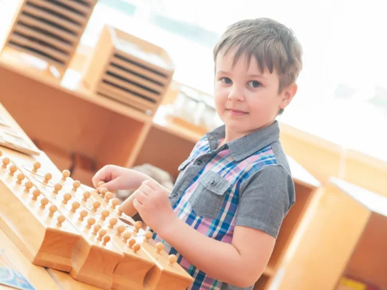 Premium Montessori Sensorial Toys for the USA Market