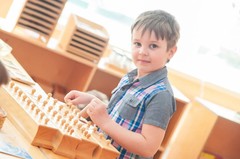 Premium Montessori Sensorial Toys for the USA Market