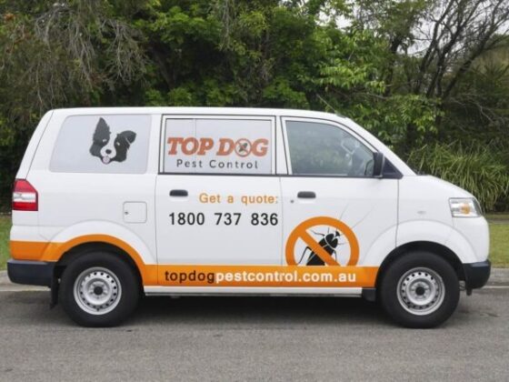 Reliable Pest Control Services on the Gold Coast for Homes and Businesses
