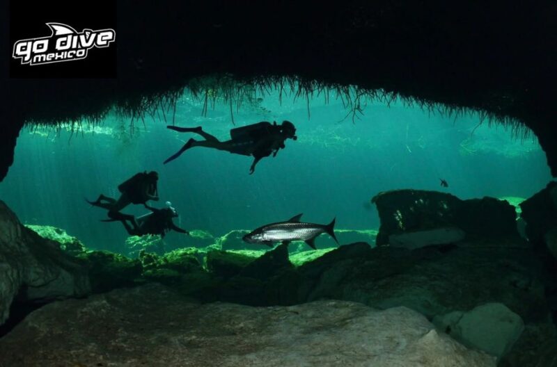 Discover Tulum’s Underwater Wonders: Diver-Friendly Trips and Courses