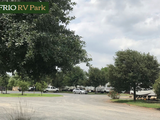 Top Local Experiences Around Pearsall RV Park