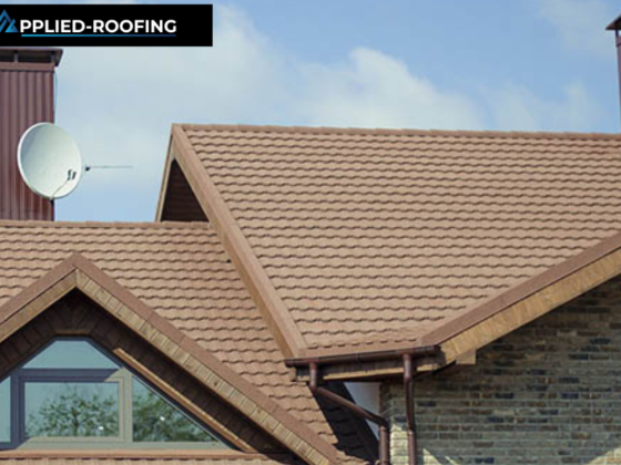 Experts in Tile Roof Installation for Lasting Protection