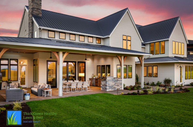 Smart timing for a lush lawn: fertiliser schedule tips