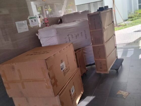 Affordable China-to-Singapore Shipping: Reliable, Compact Logistics
