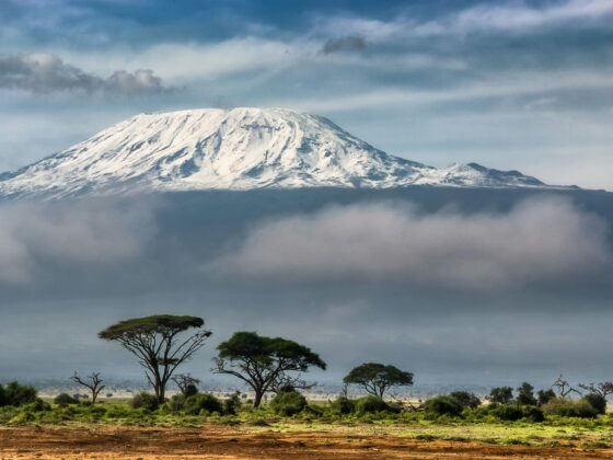 Discover Tanzania’s iconic peaks with expert trekking adventures