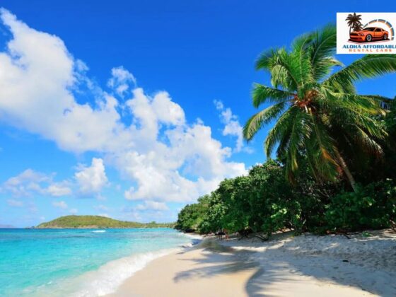 Budget friendly Car Rentals in Hawaii: Save on your island adventure
