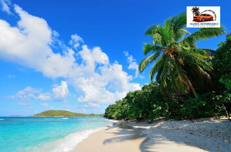 Budget friendly Car Rentals in Hawaii: Save on your island adventure
