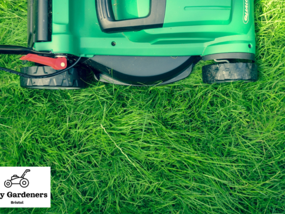 Professional lawn mowing services in Bristol you can trust