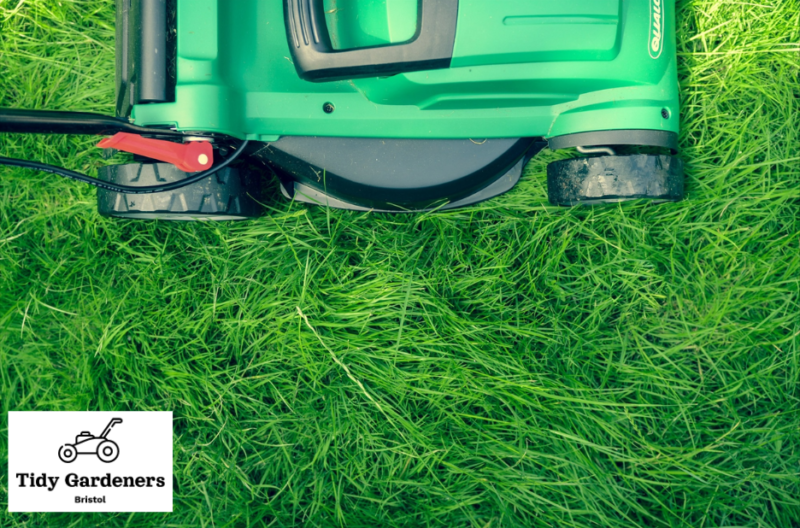 Professional lawn mowing services in Bristol you can trust