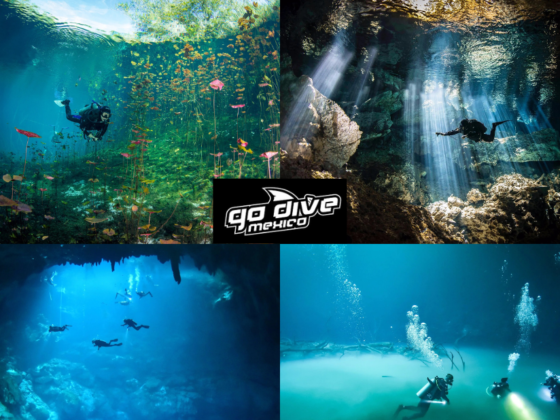 Explore Tulum’s Underwater Caves with Expert Guides
