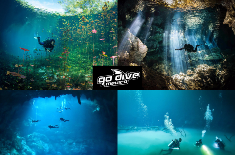 Explore Tulum’s Underwater Caves with Expert Guides