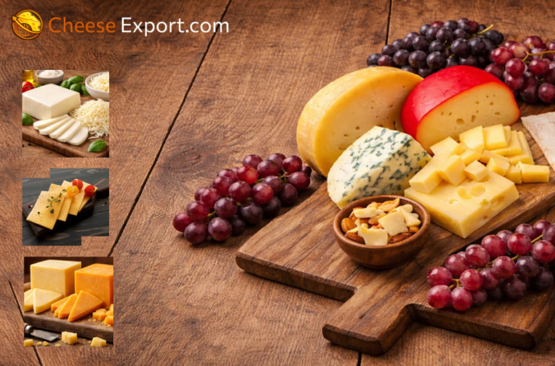 Reliable Cheese Import Partner for Large-Volume Orders
