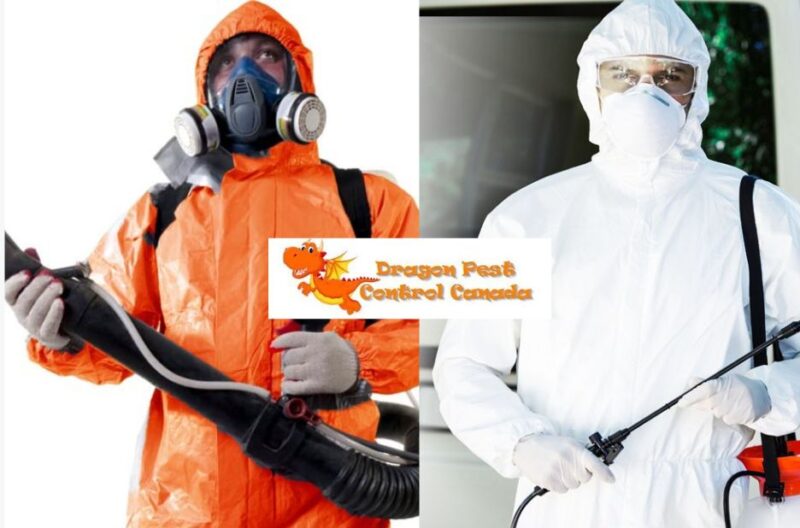 Effective Rodent Control for Homes in Alberta