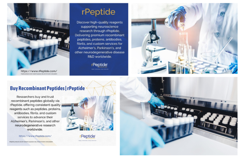 High-Quality Labeled Peptides for Research Needs