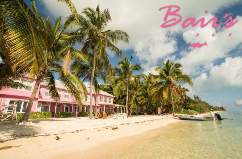 Cast to Trophy Bonefish: A Bahamian Angling Escape