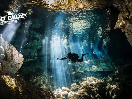 Discover Hidden Underwater Worlds: Cenotes for Adventurous Divers
