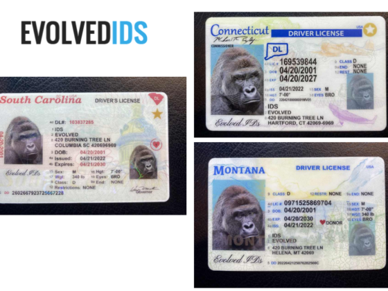 Premium Scannable Fake Id | Evolvedids.com