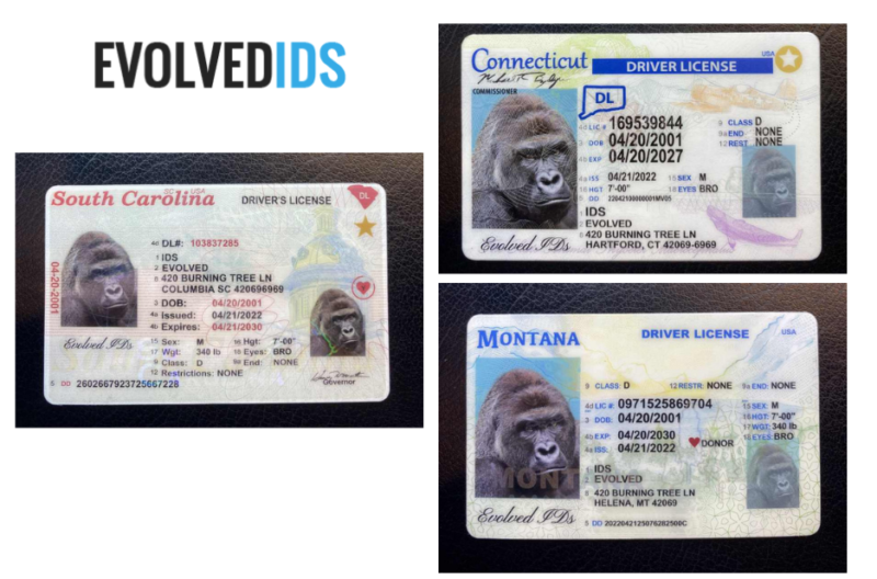 Premium Scannable Fake Id | Evolvedids.com