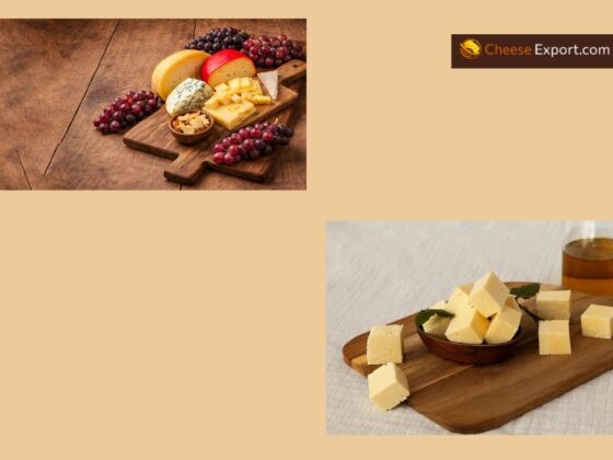 Premium Cheese Partnerships for Wholesale Buyers in the UK
