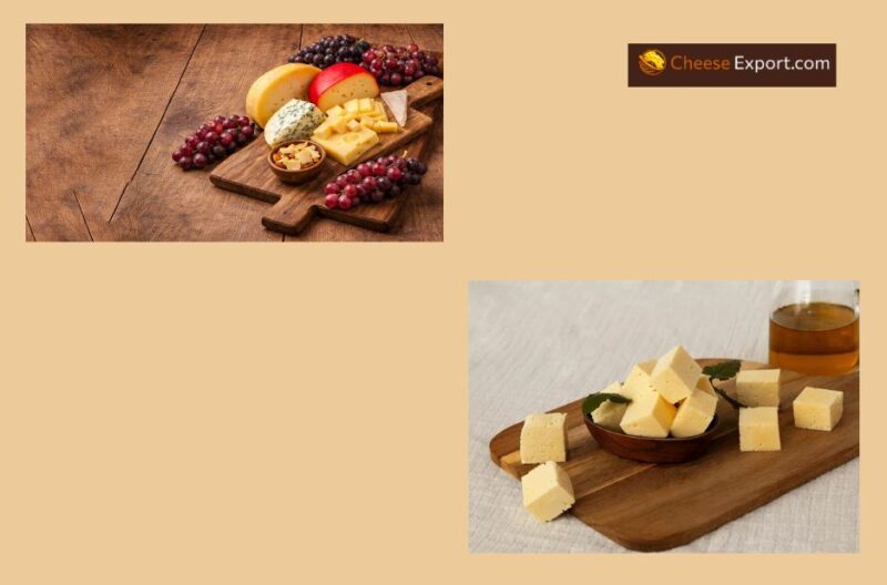Premium Cheese Partnerships for Wholesale Buyers in the UK