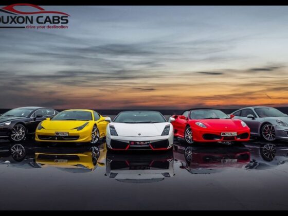 Rent a Self-Drive Car from Bhubaneswar Airport – Easy & Flexible