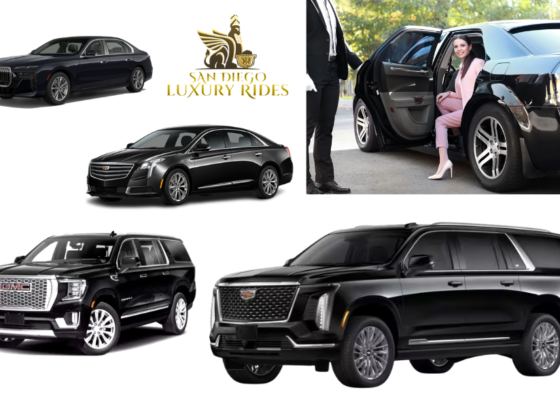 VIP Urban Transportation with a Dedicated Chauffeur in San Diego