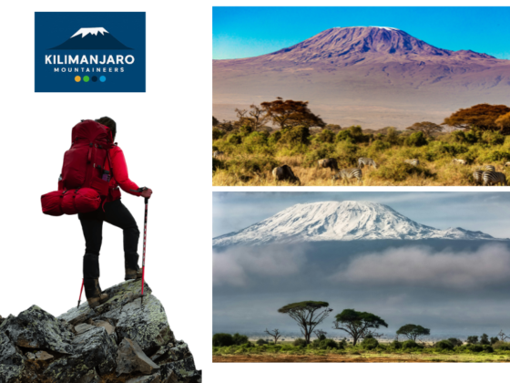 Explore Tanzania’s iconic peaks with expert trekking services