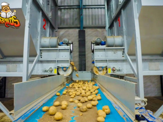Premium Potato Flakes Processing Plant Solutions for India & Beyond
