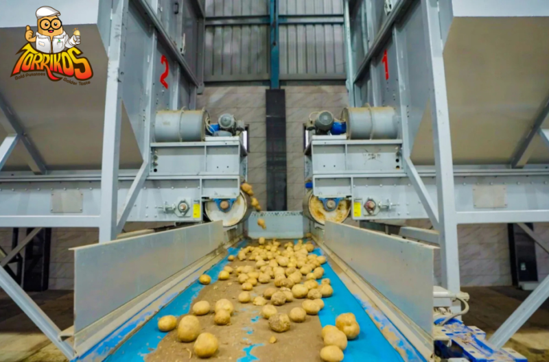 Premium Potato Flakes Processing Plant Solutions for India & Beyond