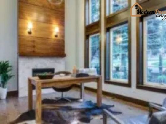 Shop Trendy Lifestyle Essentials Online for Modern Living