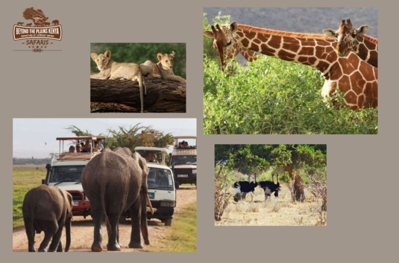 Explore Africa’s Wonders with a Trusted Kenya Safari Specialist