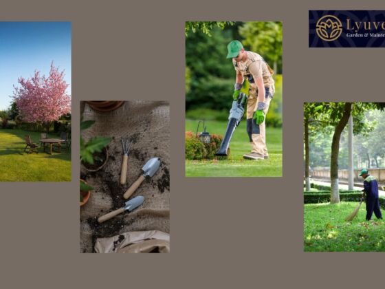 Transform Your Outdoor Space with Expert Garden Design in Surrey
