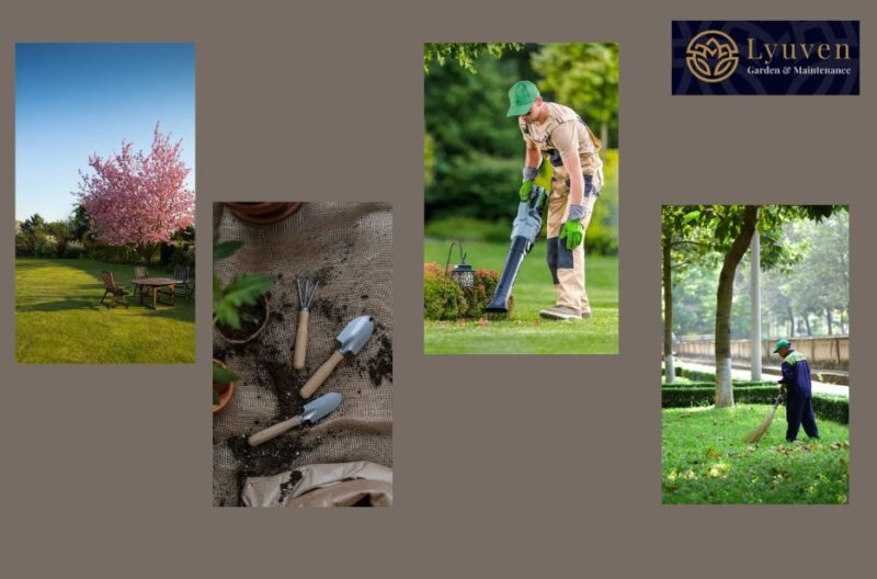 Transform Your Outdoor Space with Expert Garden Design in Surrey