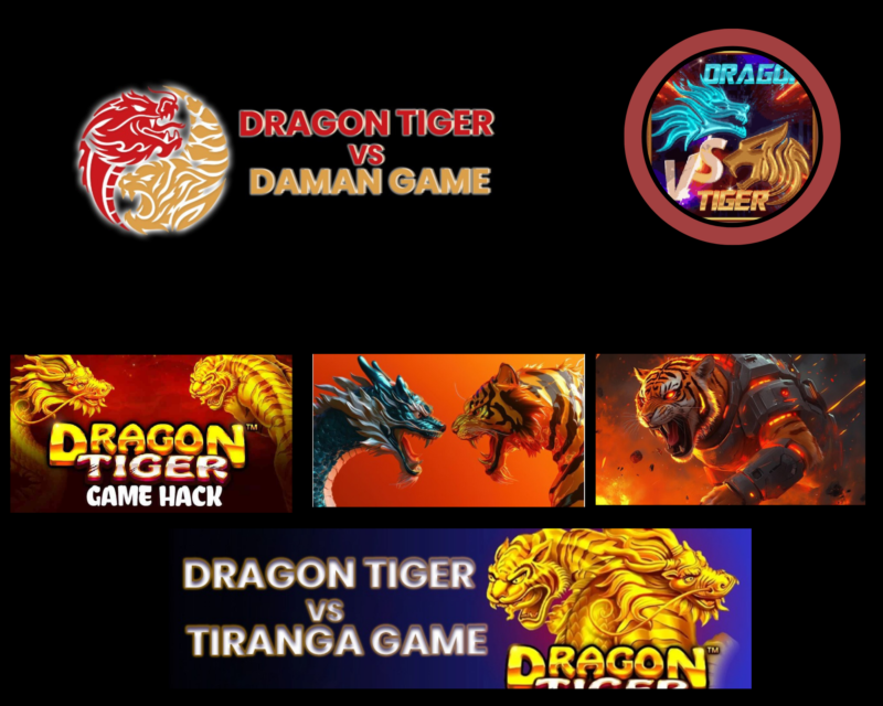 Dragon Tiger Payout | Dragon Tiger