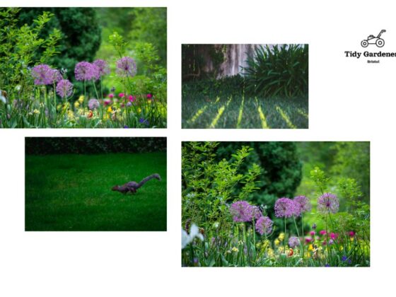 Professional Garden Pruning – Expert Care for Your Plants