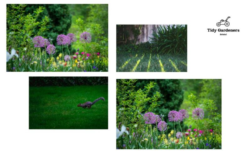 Professional Garden Pruning – Expert Care for Your Plants
