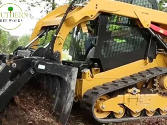 Expert Tree Care for Homes and Businesses Across the U.S.
