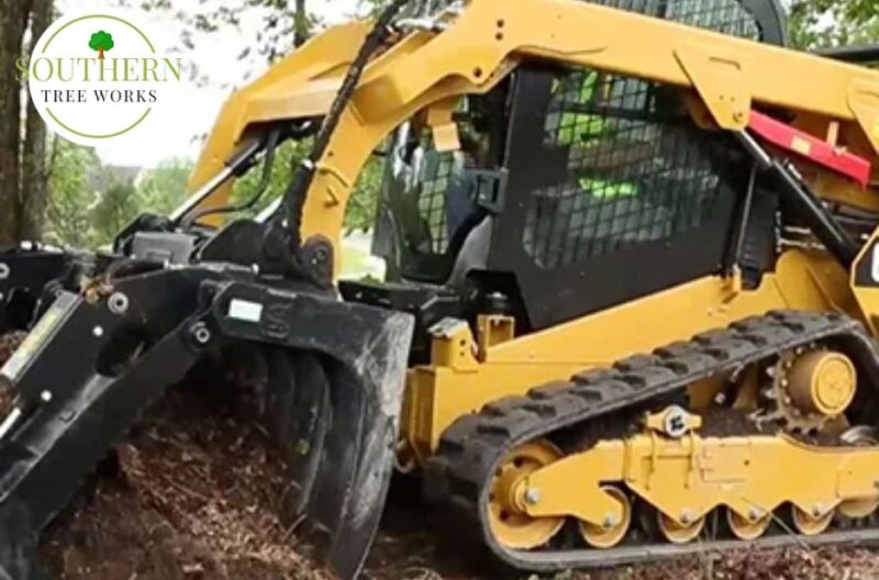 Expert Tree Care for Homes and Businesses Across the U.S.