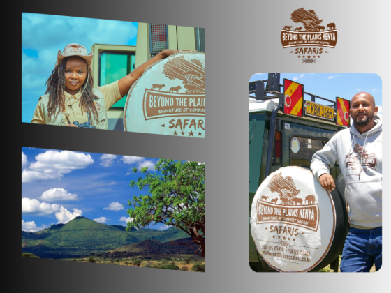Explore Kenya Safaris: Expert Planning, Tailored Adventures
