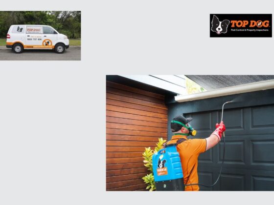 Effective Pest Management for Homes and Businesses in Oxenford