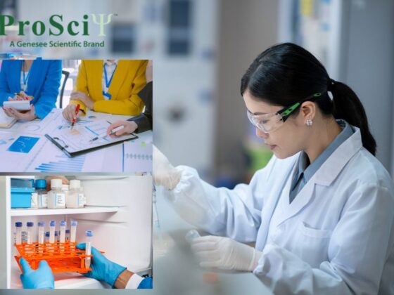 Enhance Flow Cytometry with High-Quality Polyclonal Antibodies