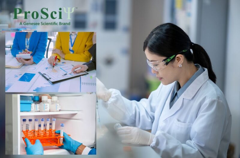 Enhance Flow Cytometry with High-Quality Polyclonal Antibodies