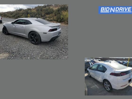 Unearth Great Bargains at a Salvage Vehicle Auction