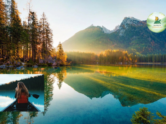 Family Counseling Telehealth Services for Online Therapy and Family Harmony
