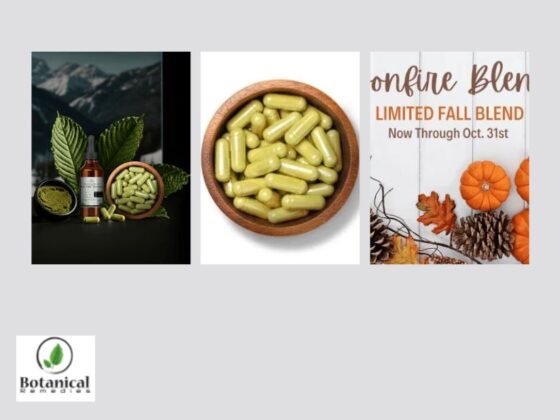 Discover High-Quality Kratom Powder Online — Safe, Trusted & Discreet
