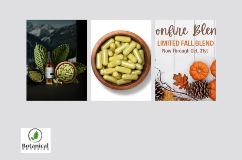 Discover High-Quality Kratom Powder Online — Safe, Trusted & Discreet