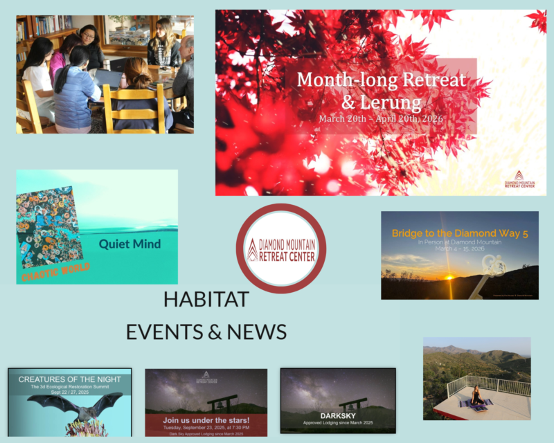 Mindfulness Retreat Arizona: Find Calm and Clarity