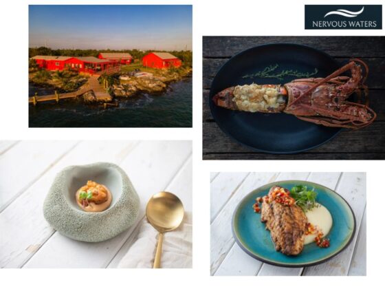 Unforgettable Bahamian Fly-Fishing Escapes: Top Lodges for 2024