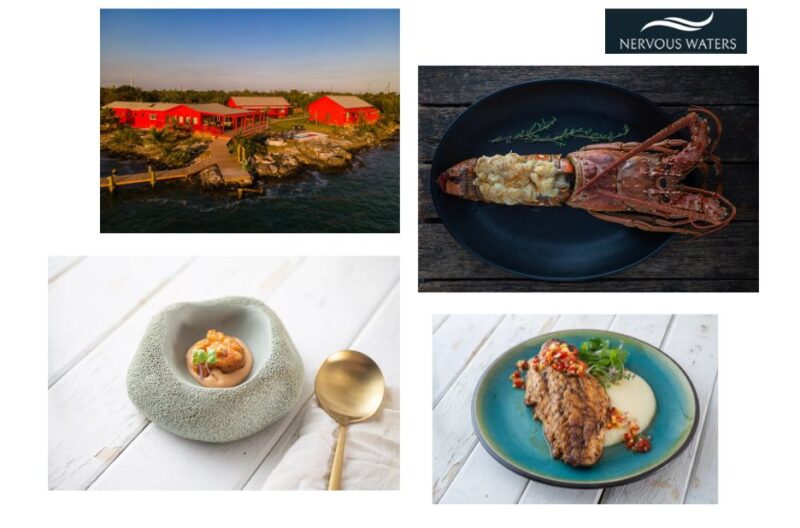 Unforgettable Bahamian Fly-Fishing Escapes: Top Lodges for 2024