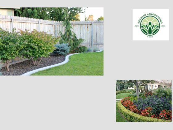 Transform Your Outdoor Space with Expert Rocklin Landscaping Services